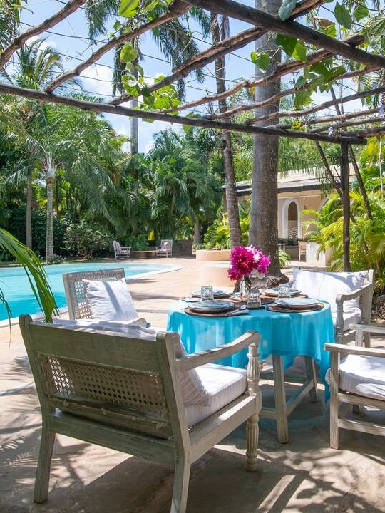 Lampion loop birds sunset