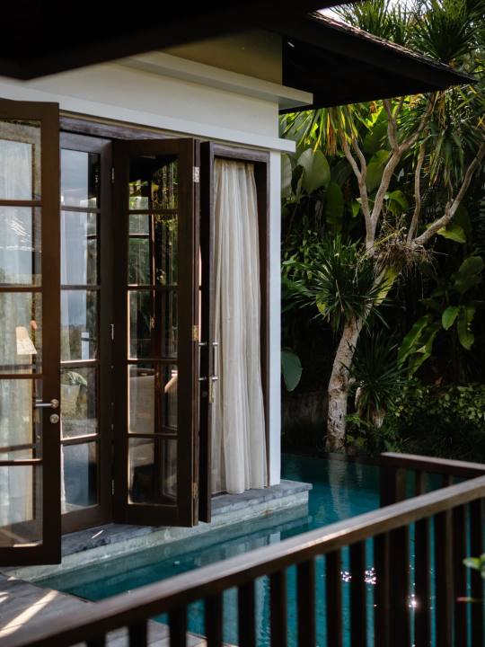 Bougainvillea Overview